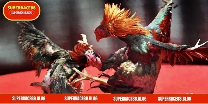 Sabong SUPERACE88: Ang Pinakamahusay na Online Sabong sa Pilipinas